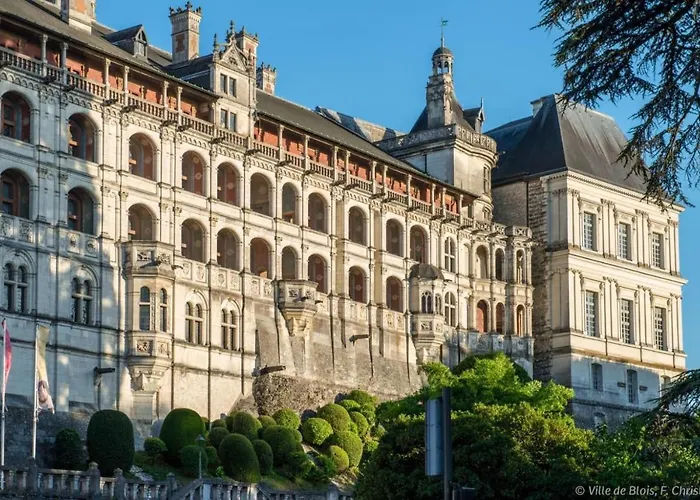 Charmant Appartement Au Coeur De Blois